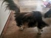 IMG_20201004_164728.jpg