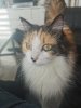 IMG_20201004_165239.jpg