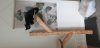 20201004_121635.jpg