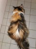 IMG_20201005_200650.jpg