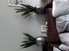 20201006_161024.jpg