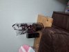 20201006_160730.jpg