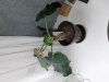 20201006_160756.jpg