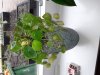 20201006_160804.jpg