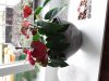 20201006_160819.jpg