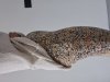20201006_162831.jpg
