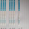 20201007_091948.jpg