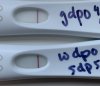 483D619C-822F-4CD3-A0AC-6D804FB1ADD5.jpeg