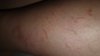 20201008_193315.jpg