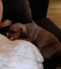 20201008_204611.jpg