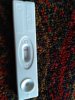 IMG_20201011_112335.jpg