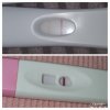 PhotoGrid_1602446197120.jpg