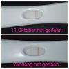 PhotoGrid_1602596158524.jpg