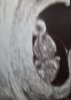 Screenshot_20201013-183818_Gallery.jpg