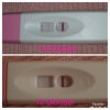 PhotoGrid_1602661860897.jpg