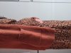 20201011_083134.jpg