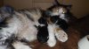 IMG-20201016-WA0004.jpg