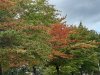 20201009_143920.jpg