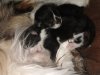 IMG_20201016_163658.jpg
