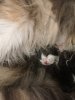 IMG_20201016_132709.jpg