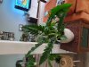 20201016_163515.jpg