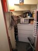 IMG_20201016_162139914.jpg