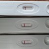 IMG_20201017_054941.jpg