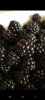 Screenshot_20201016-193558_Gallery.jpg