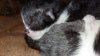 IMG-20201017-WA0027.jpg