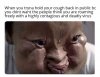 3n8qlz1r7xn41.jpg