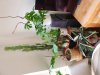 20201018_125612.jpg