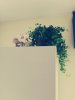 IMG_20201018_132012.jpg