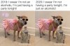 43BC7D54-48D0-4468-8171-D2DC3B5A595E.jpeg