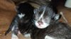 IMG-20201019-WA0004.jpg