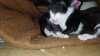 IMG-20201019-WA0005.jpg