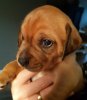 20201020_180848.jpg
