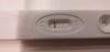 IMG-20201020-WA0023.jpeg