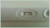 8050EBE6-57C5-46CD-A7F2-D8EBA781C4E2.png