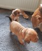 20201022_011324.jpg