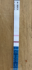 95AFCACA-BF12-4D48-BDFC-5C7ECBAB80A9.png
