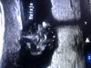 C62729E9-8DB9-46CC-9BC9-95724C5D998D.jpeg