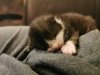 IMG_20201023_204435.jpg