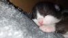 IMG-20201025-WA0026.jpg