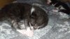 IMG-20201025-WA0027.jpg