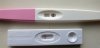 20201028_105611.jpg