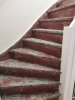 IMG_20201028_110315.jpg