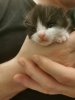 IMG_20201029_215244.jpg