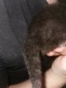 IMG_20201029_214950.jpg
