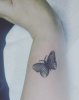 IMG_20201030_175342_382.jpg