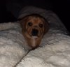 20201101_214749.jpg